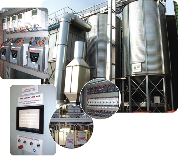 Seed Processing Plant