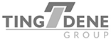 Ting Dene Group